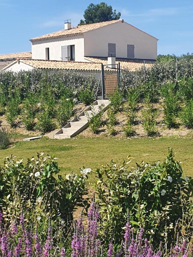 Onze Villa In Provence, Mont Ventoux, New Luxury Villa, Private Pool, Stunning Views, Outdoor Kitchen, Big Green Egg Malaucène Exterior foto